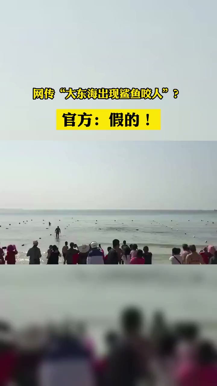 三亚大东海鲨鱼咬人?还有视频为证?官方:假的!三亚 三亚大东海 鲨鱼