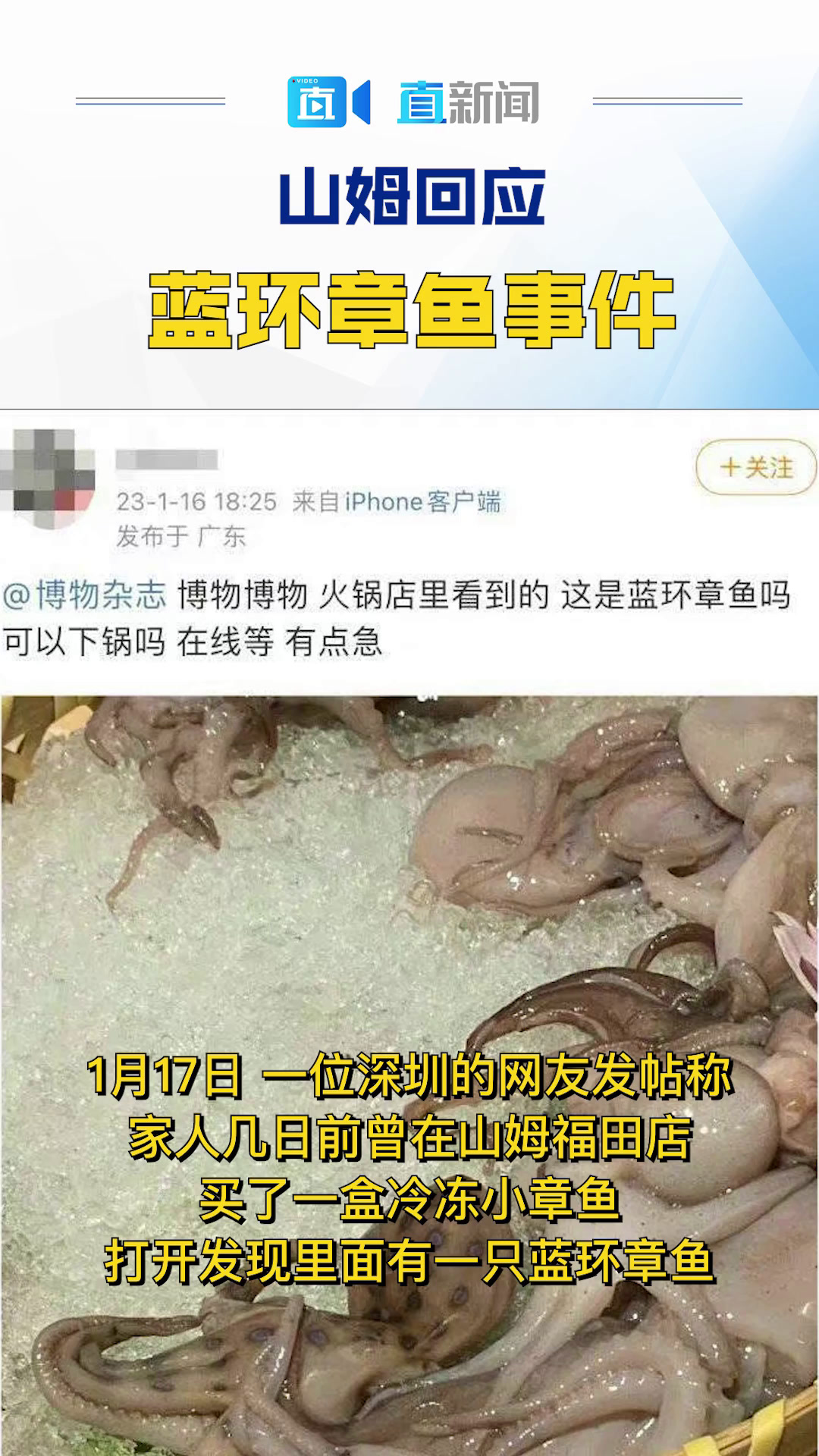 山姆回应?蓝环章鱼事件!