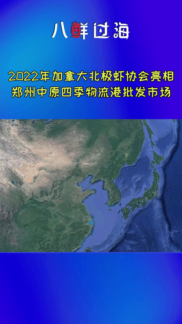 加拿大北极虾“跳进”河南进口海鲜大鱼缸:郑州中原四季批发市场
