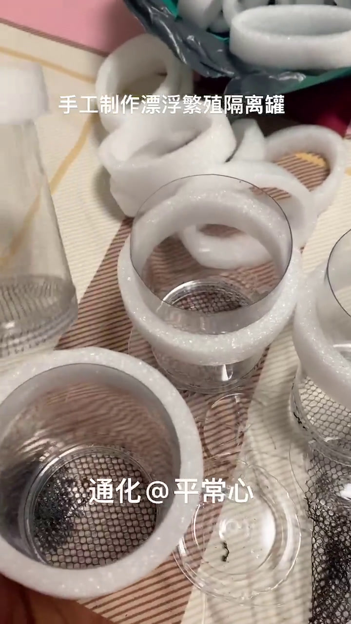 手工制作漂浮繁殖隔离罐 水族 热带鱼 观赏鱼