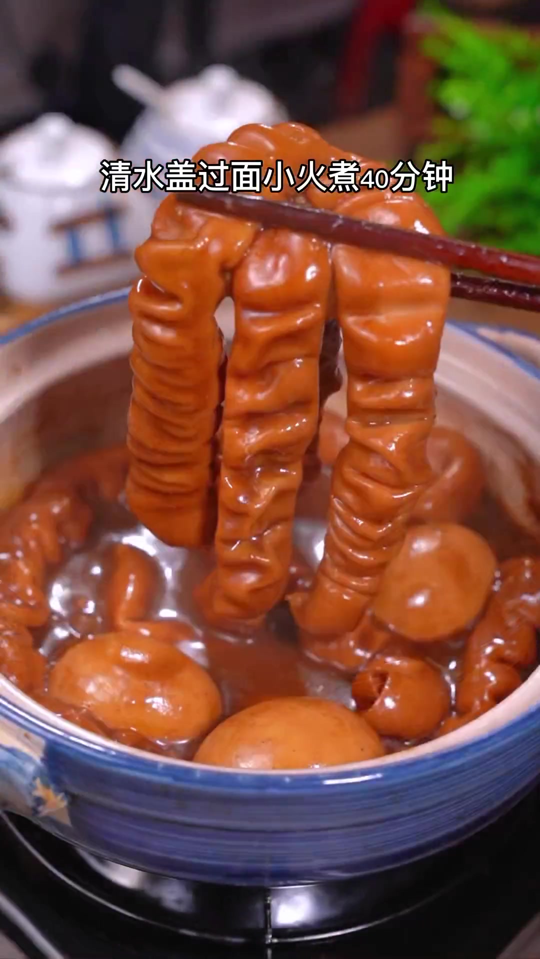 广式卤水猪大肠