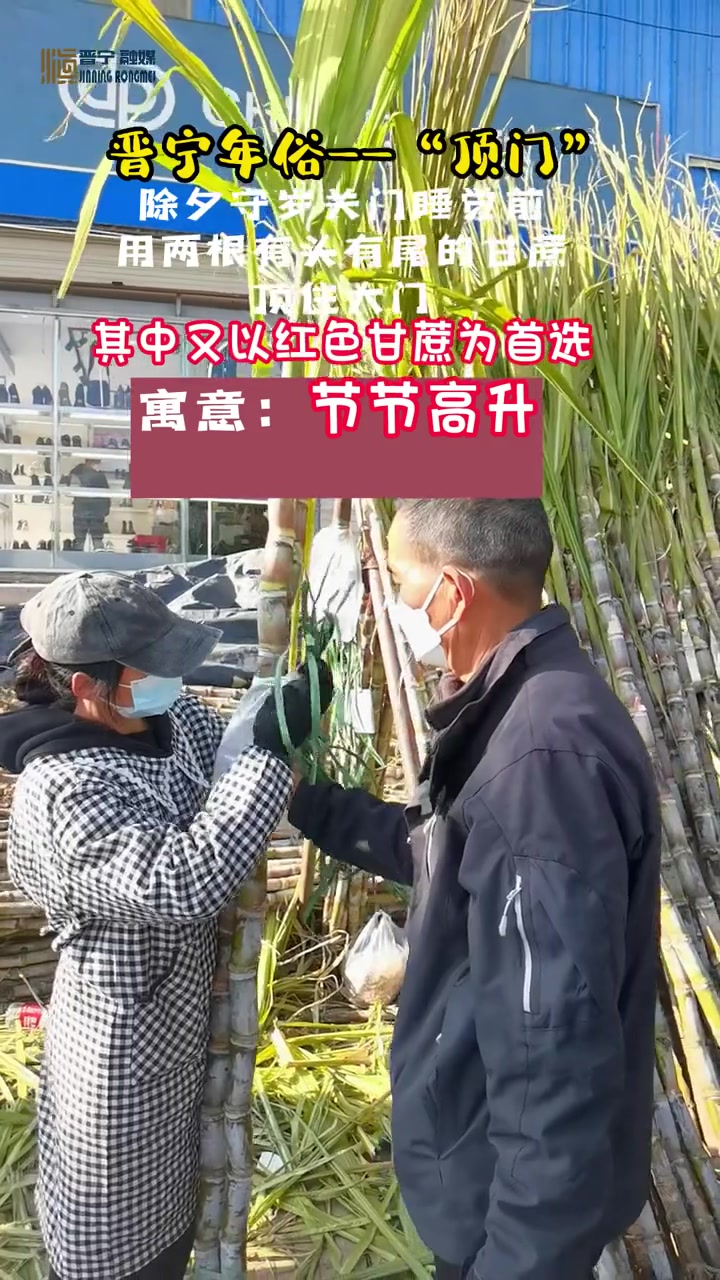 晋宁年俗——“顶门”,除夕守岁关门睡觉前,用两根有头有尾的甘蔗顶住大门,其中又以红色甘蔗为