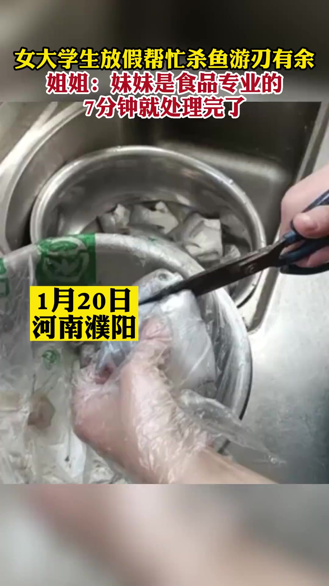 女大学生放假帮忙杀鱼游刃有余,姐姐:妹妹是食品专业的,7分钟就处理完了
