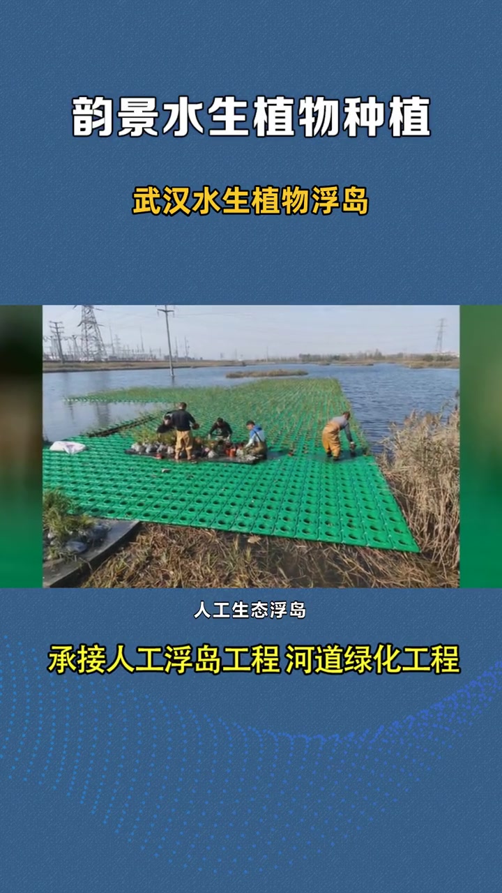 生态浮床生产厂家 武汉水生植物浮岛 云南浮岛在哪里