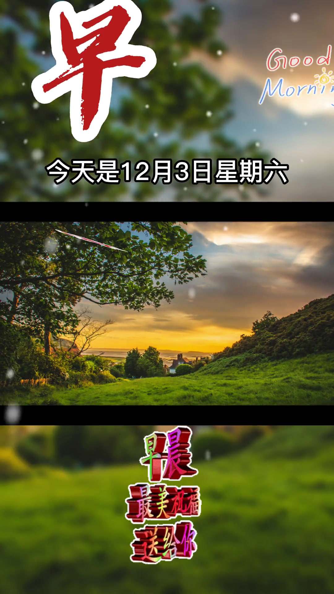 今天是12月3日星期六，早上好呀，美好的周末又到了，亲切的问候在每天，默默的祝福在心间，好
