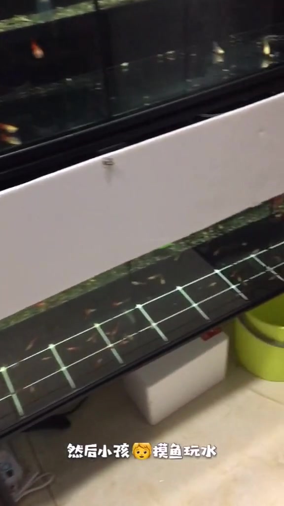 鱼缸隔离挡板怎么安装