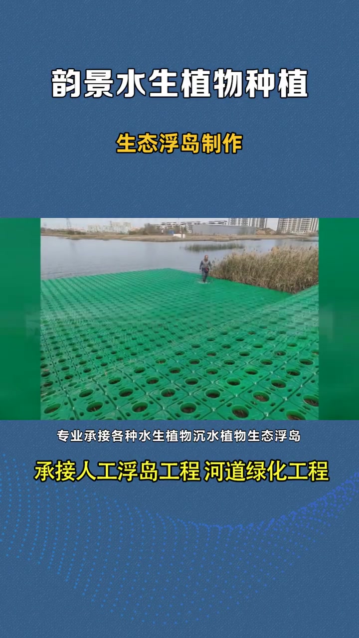 生物浮床厂家 生态浮岛制作 种水生植物的浮岛