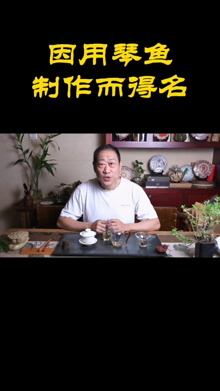 琴鱼茶 茶文化 茶艺馆 爱喝茶的关注我 传统文化 茶知识