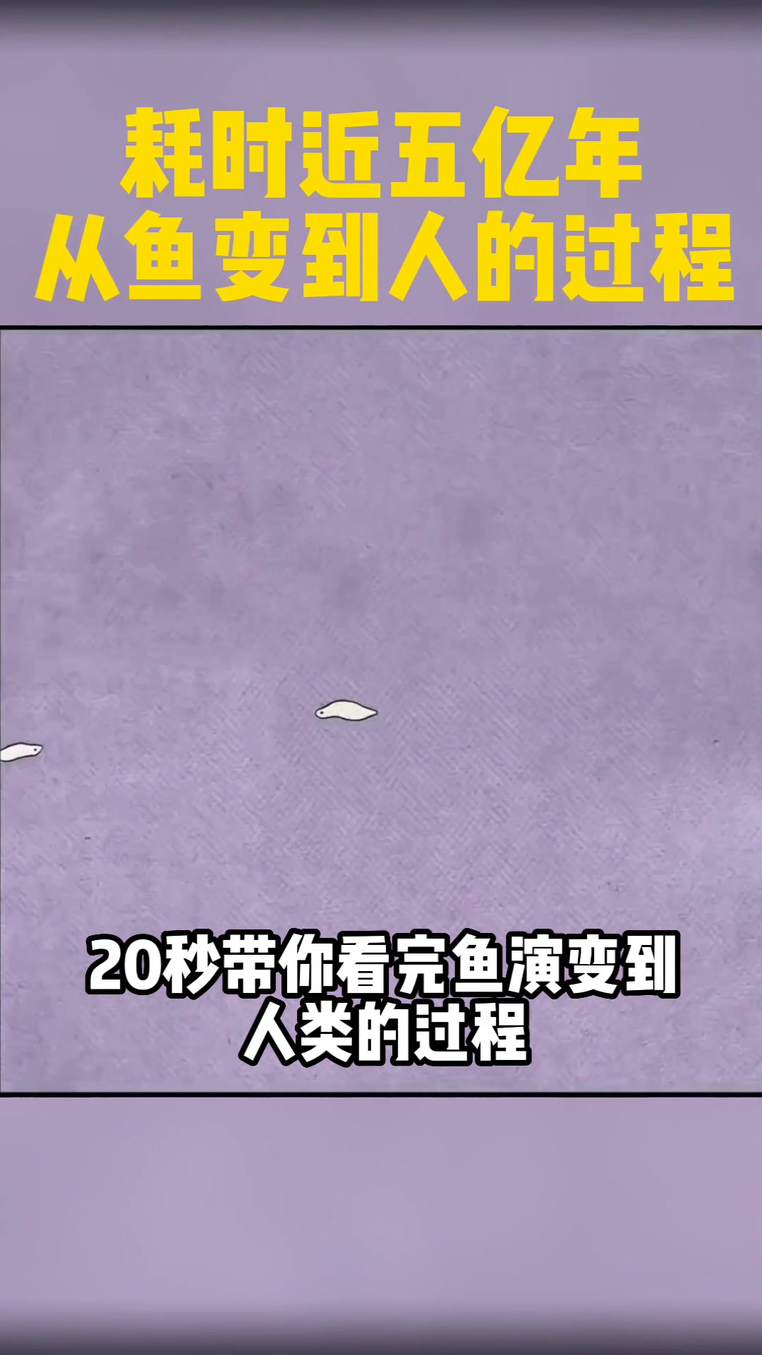 鱼演变为人类的整个过程,耗时大约5亿年