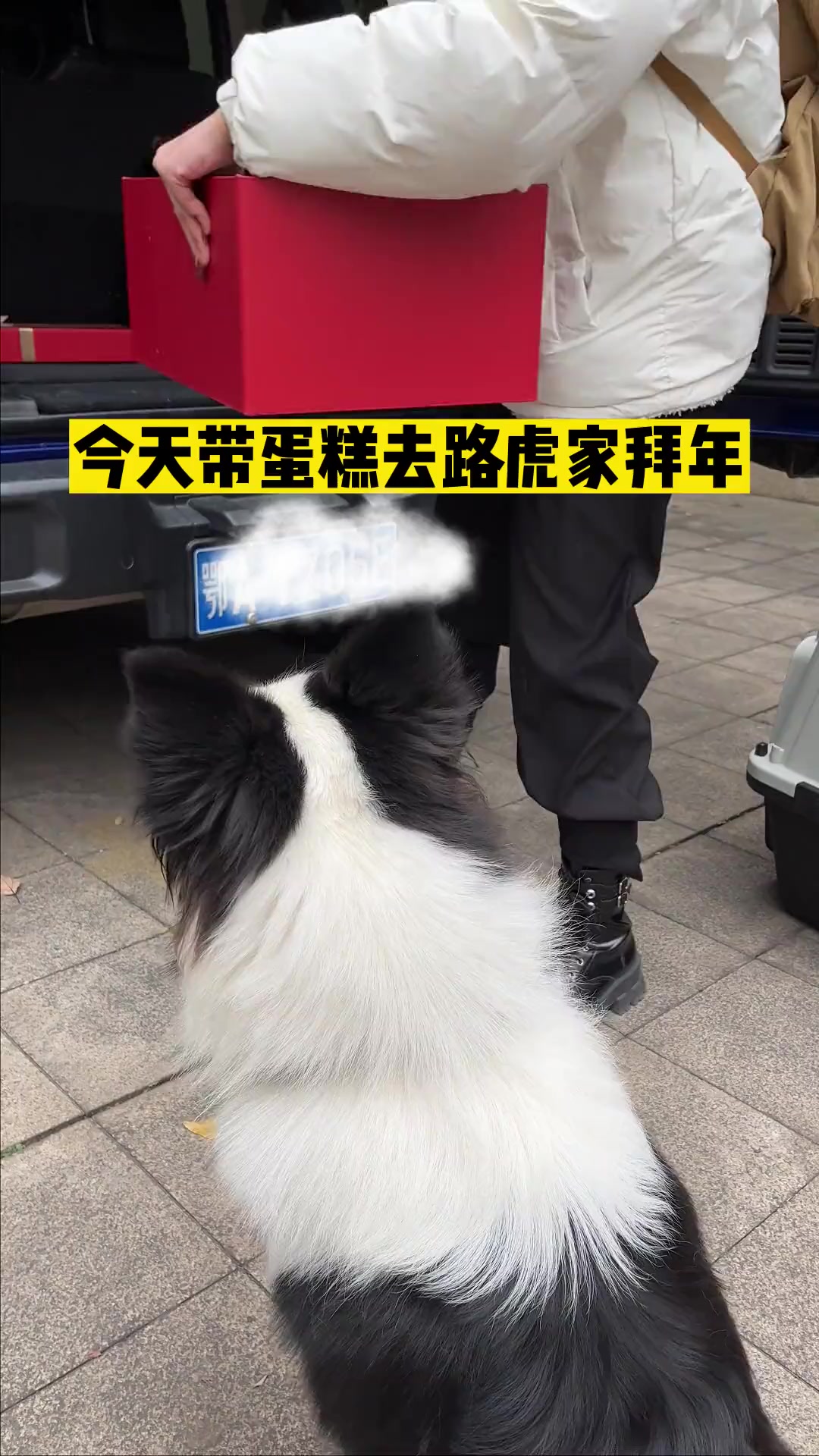 长这么大只见过拜年送礼的,从没见过拜年自助回礼的……