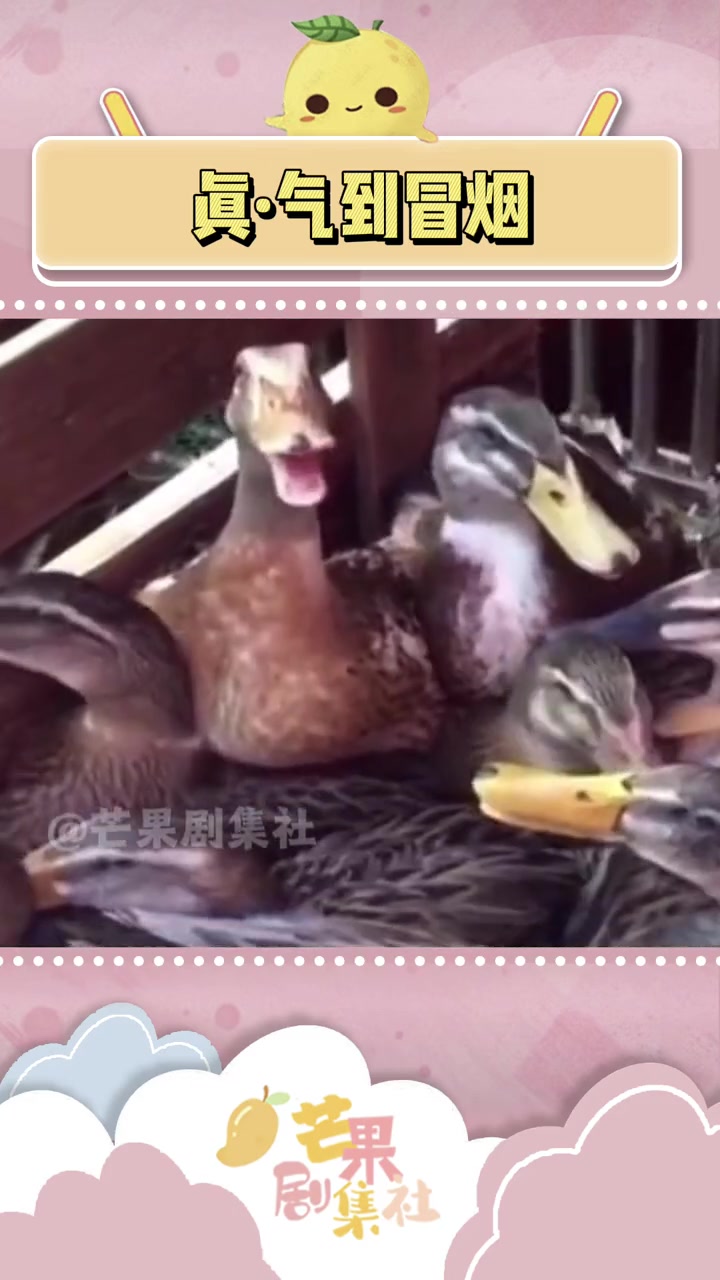 所以圣诞老人才是蒸汽机之父吧 搞笑 鹿 生气