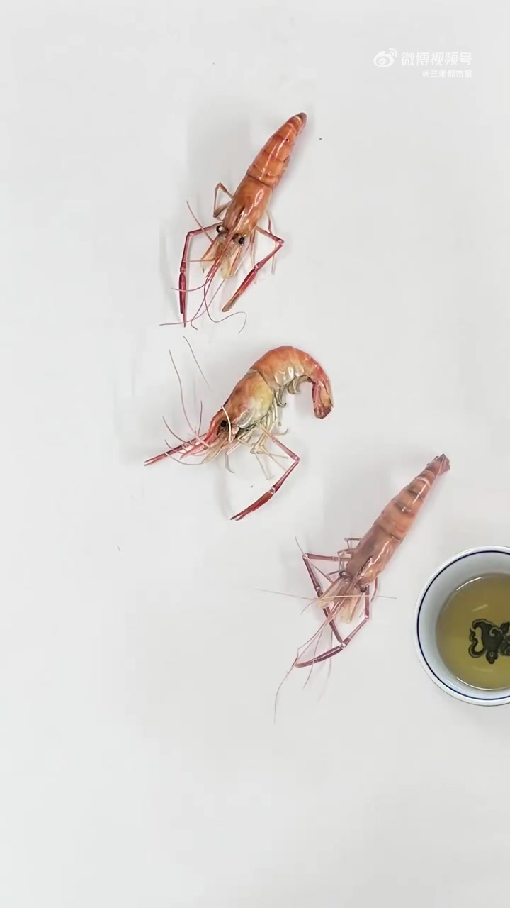 「闲坐|齐白石画作展」“客中月光照家山”,此次齐白石画作展展出了140余件原作。二楼的两个