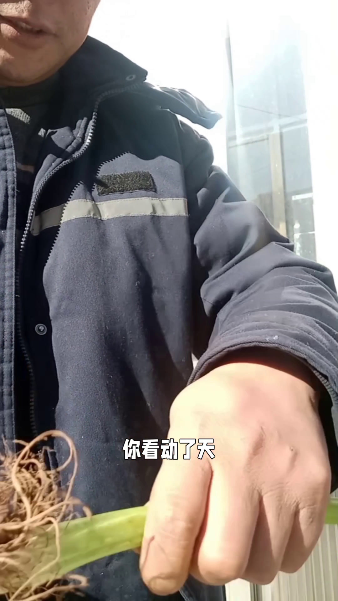 小丰哥摘菜,洗菜,炒菜全过程!有想吃的来?