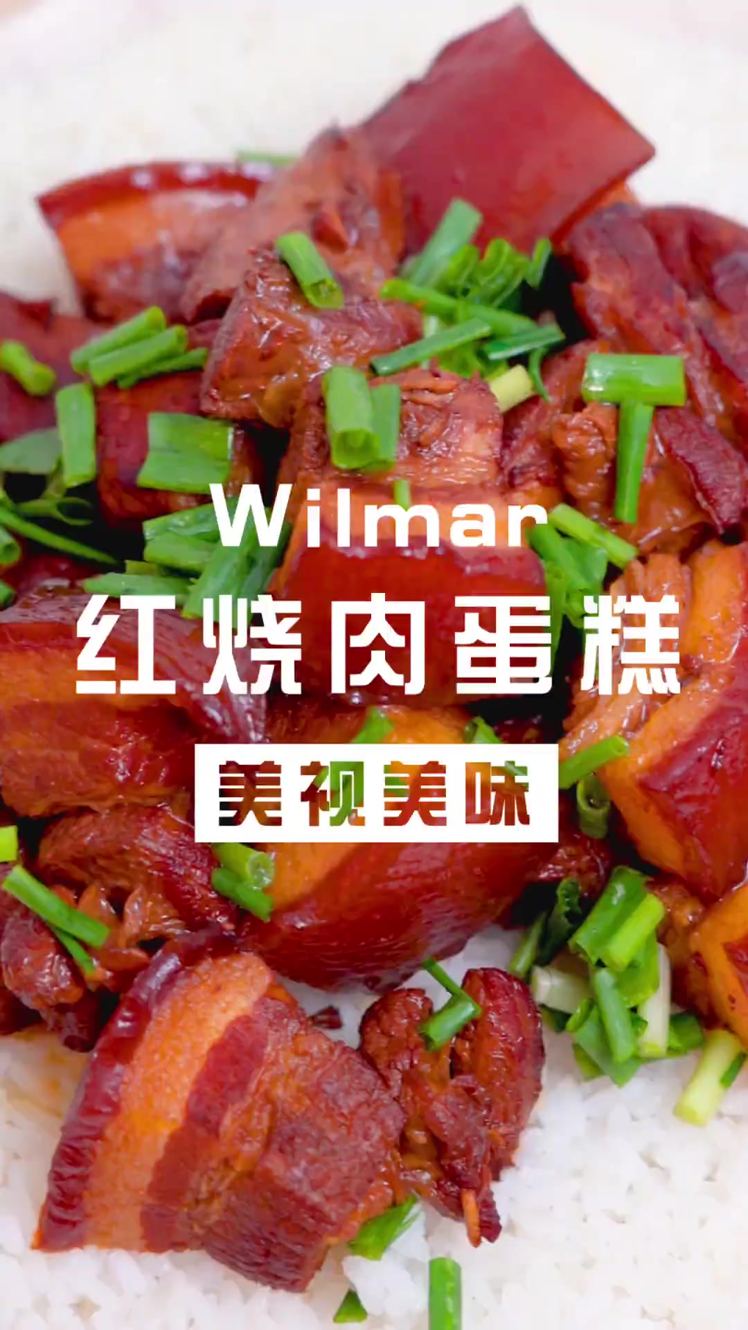 金龙鱼品牌的粮油产品怎么选?大片厚切的红烧肉饭让你欲罢不能