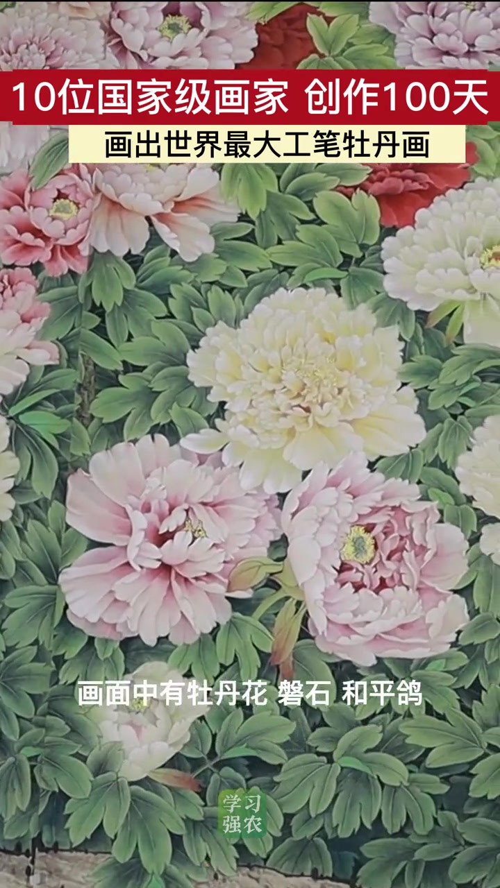 10位国家级画家创作100天,画出世界最大工笔牡丹画 牡丹