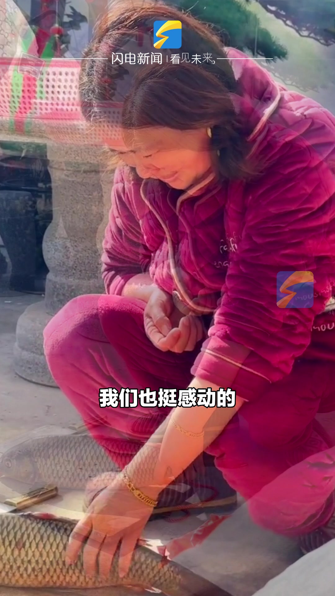 “鱼坚强”闷在袋中一天一夜还活着