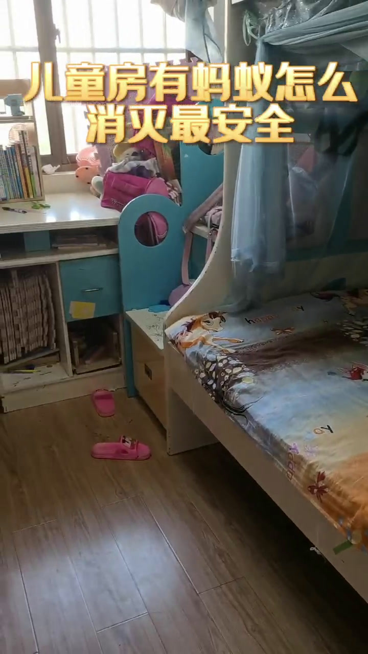 屋里为什么有小黄蚂蚁,怎么才能消除