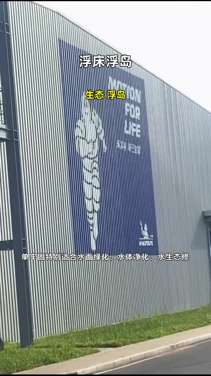 生态 浮岛 浮床浮岛 浮岛植物养护