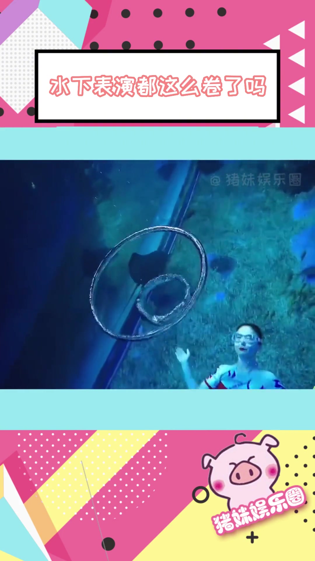 小小鱼露折耳鱼不呼吸视频泳池