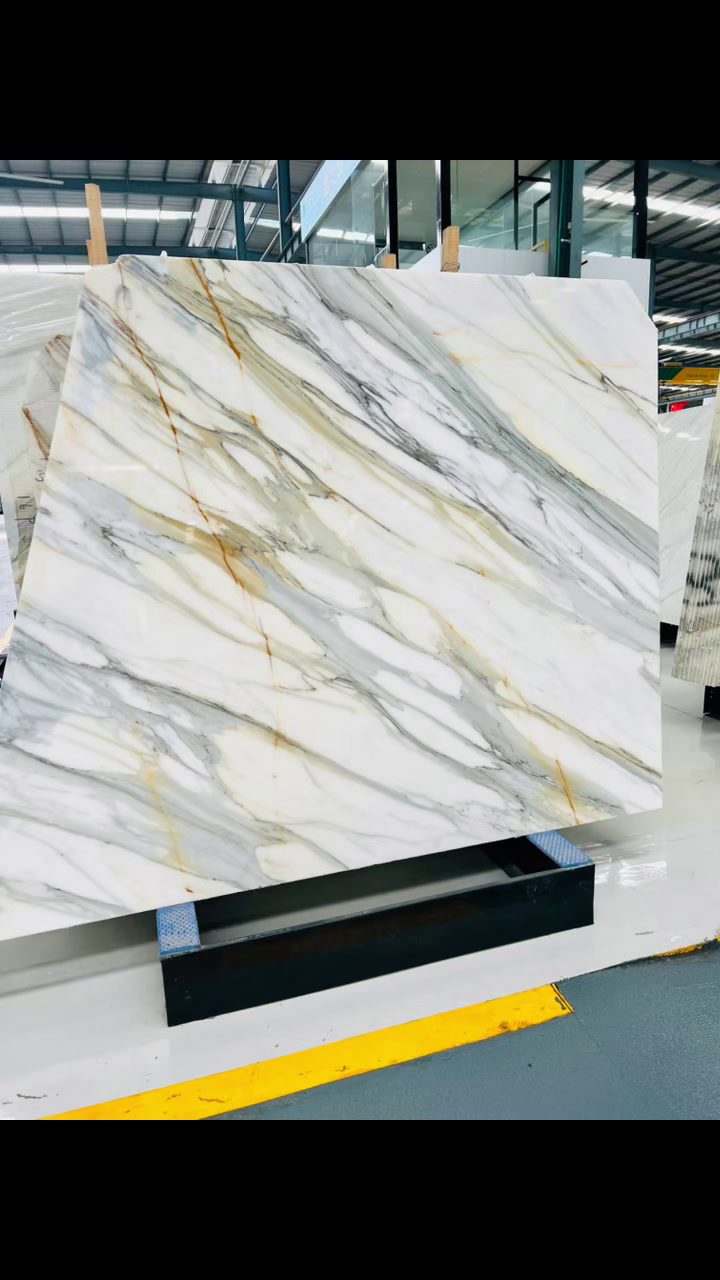 意大利鱼肚白鱼肚金