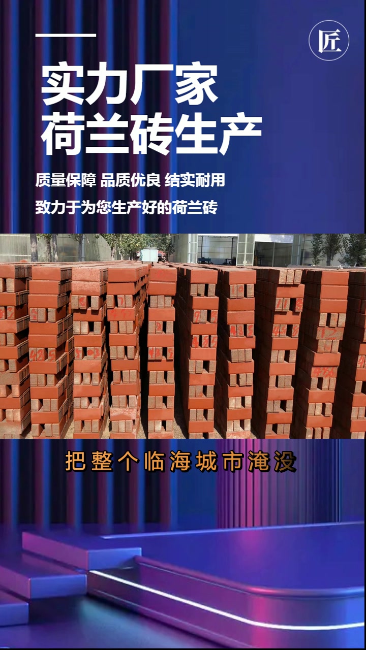 荷兰砖厂家 荷兰砖价格 荷兰砖 博兴荷兰砖 博兴荷兰砖型号