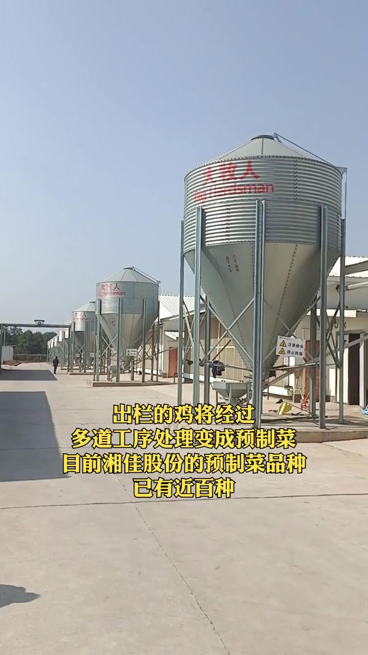 实探湘佳股份 年出栏300万羽鸡 鸡类预制菜近百种 财经 上市公司