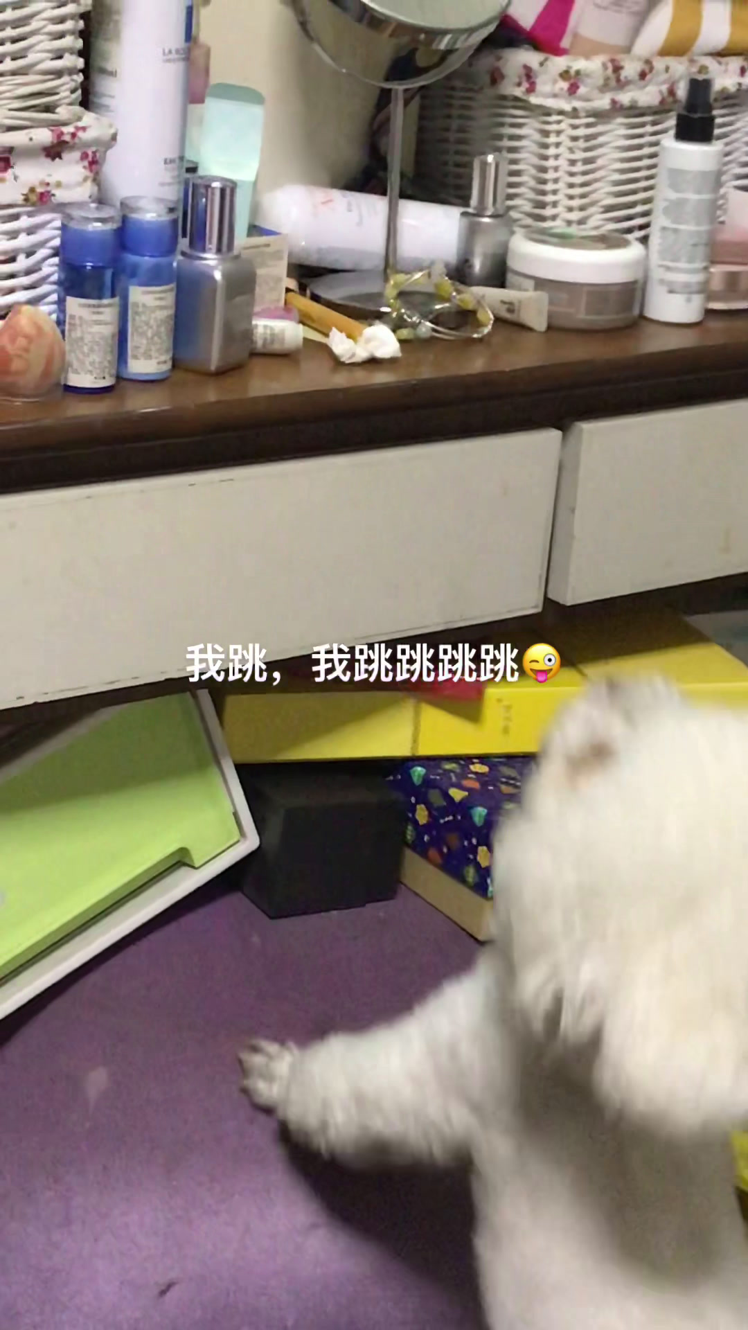 我家的调皮小可爱