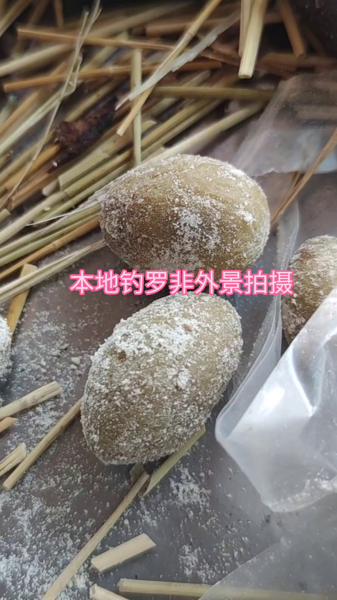 广东烧鹅发源地(古井烧鹅)