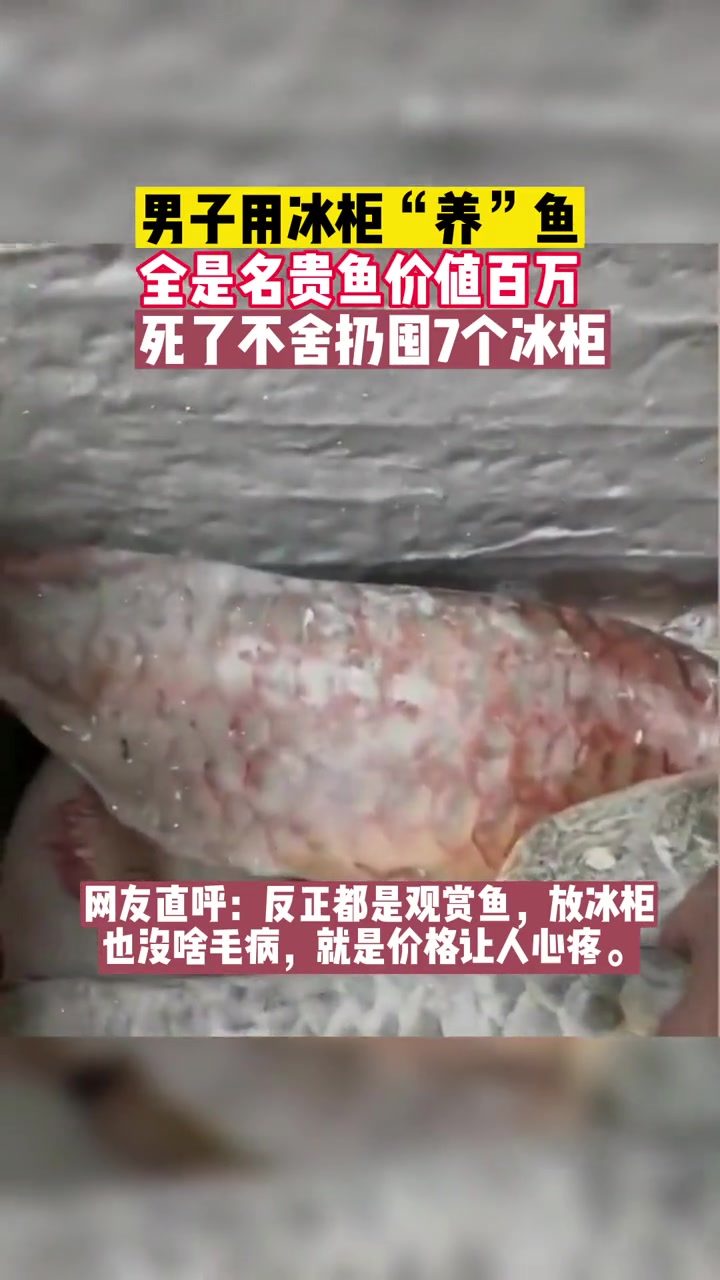 男子用冰柜“养”鱼,全是名贵鱼价值百万,死了不舍扔囤7个冰柜 养鱼 冰柜 价格心疼