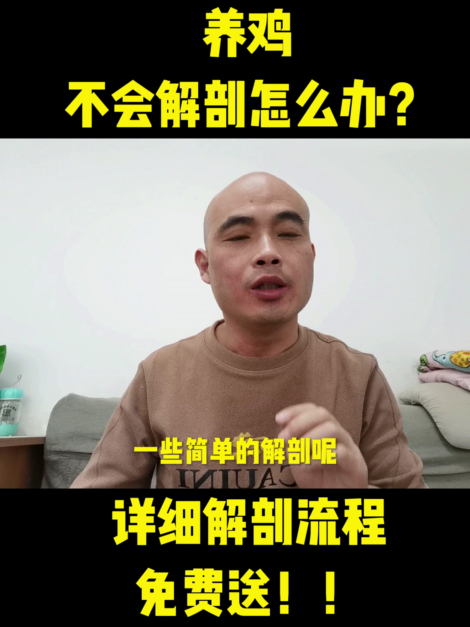 鸡详细解剖流程免费送