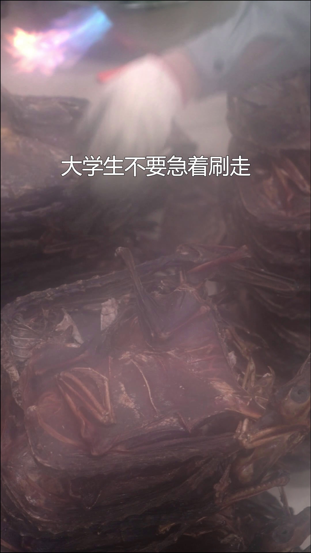 湖南人想知道全国有多少大学生还没吃过手撕酱板鸭?