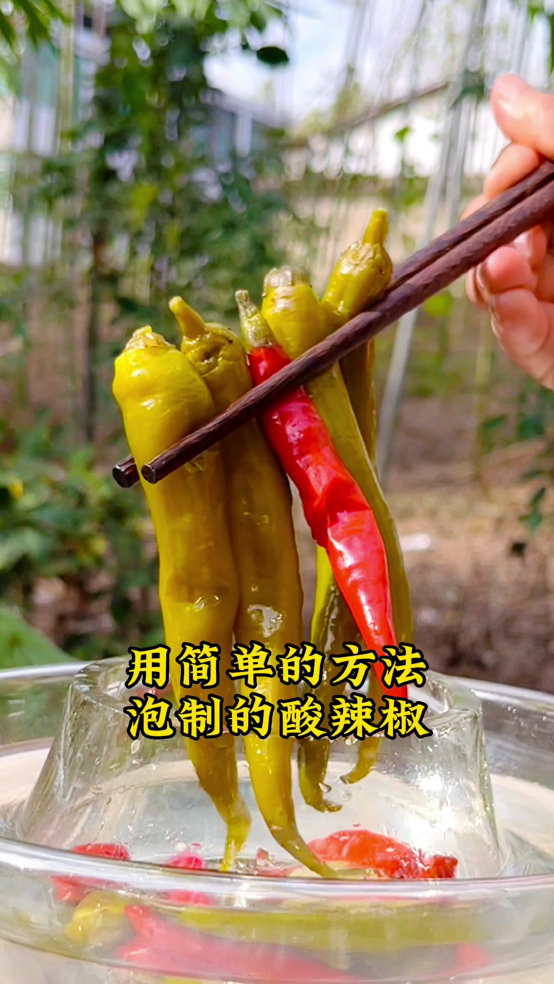 简单的方法泡制酸辣椒