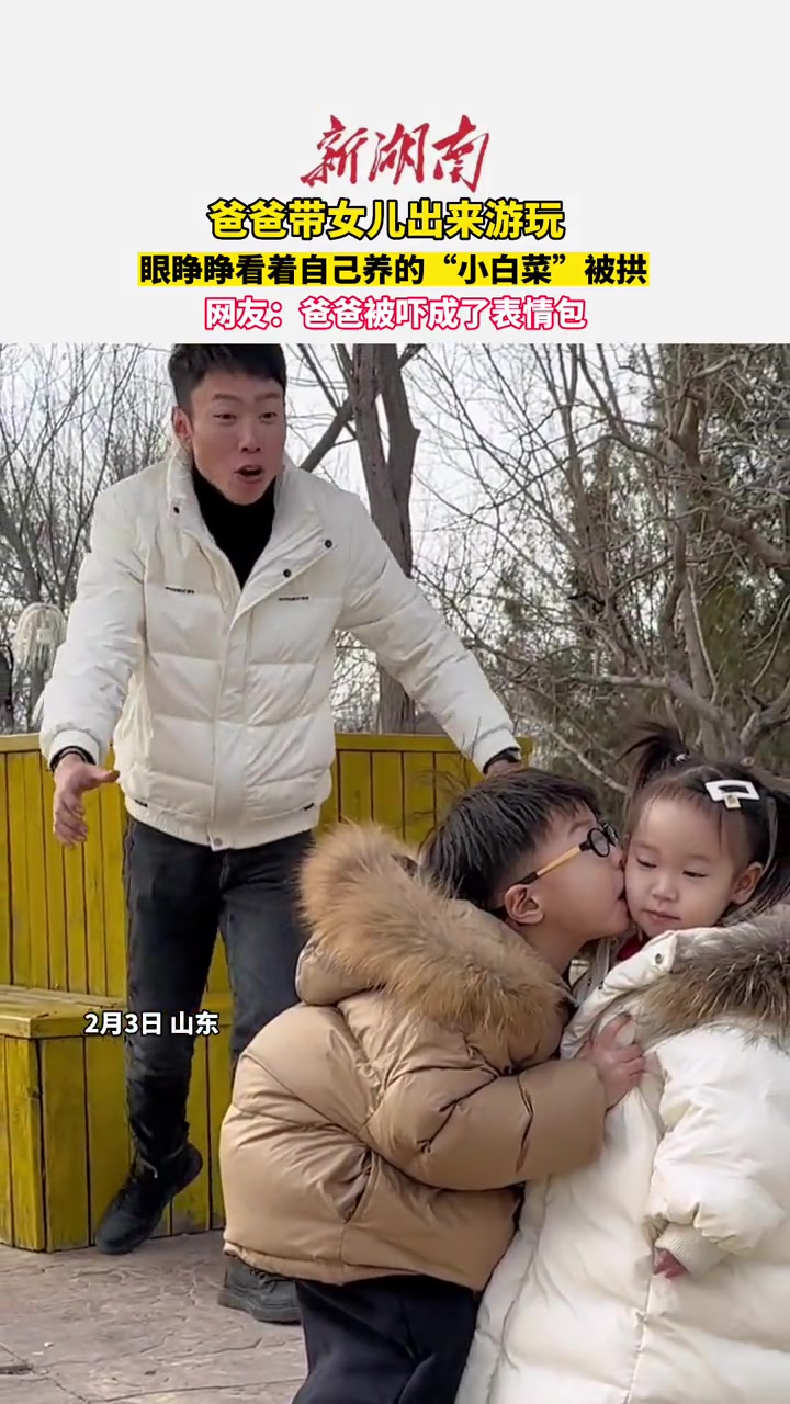 爸爸眼睁睁看着自己养的“小白菜”被拱,瞬间被吓成了表情包 萌娃