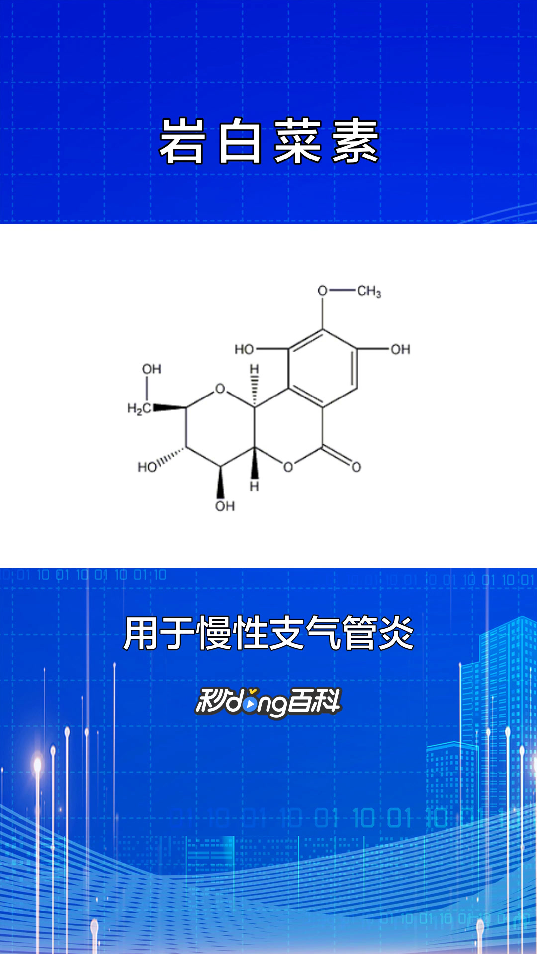 一分钟了解岩白菜素