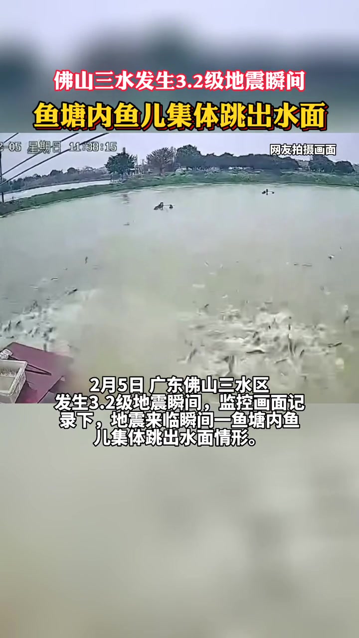 2月5日 广东佛山三水区发生3.2级地震,监控画面记录下地震来临瞬间,一鱼塘内鱼儿集体跳出