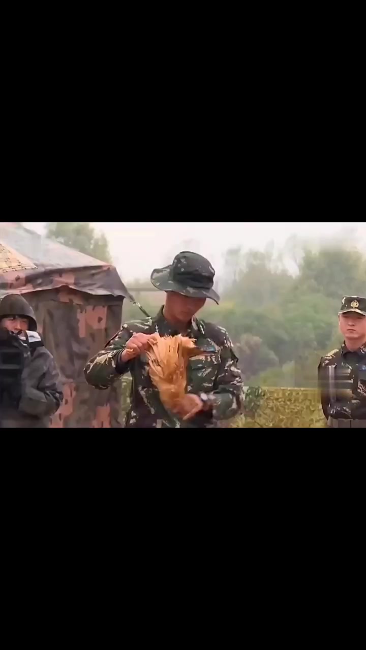 杨幂吃带血生牛肉,黄子韬被逼生撕活鸡,综艺的尺度能有多大