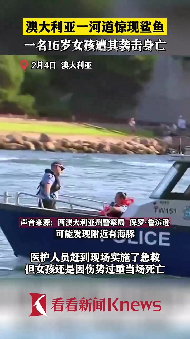 澳大利亚一河道惊现鲨鱼 16岁女孩遭其袭击身亡