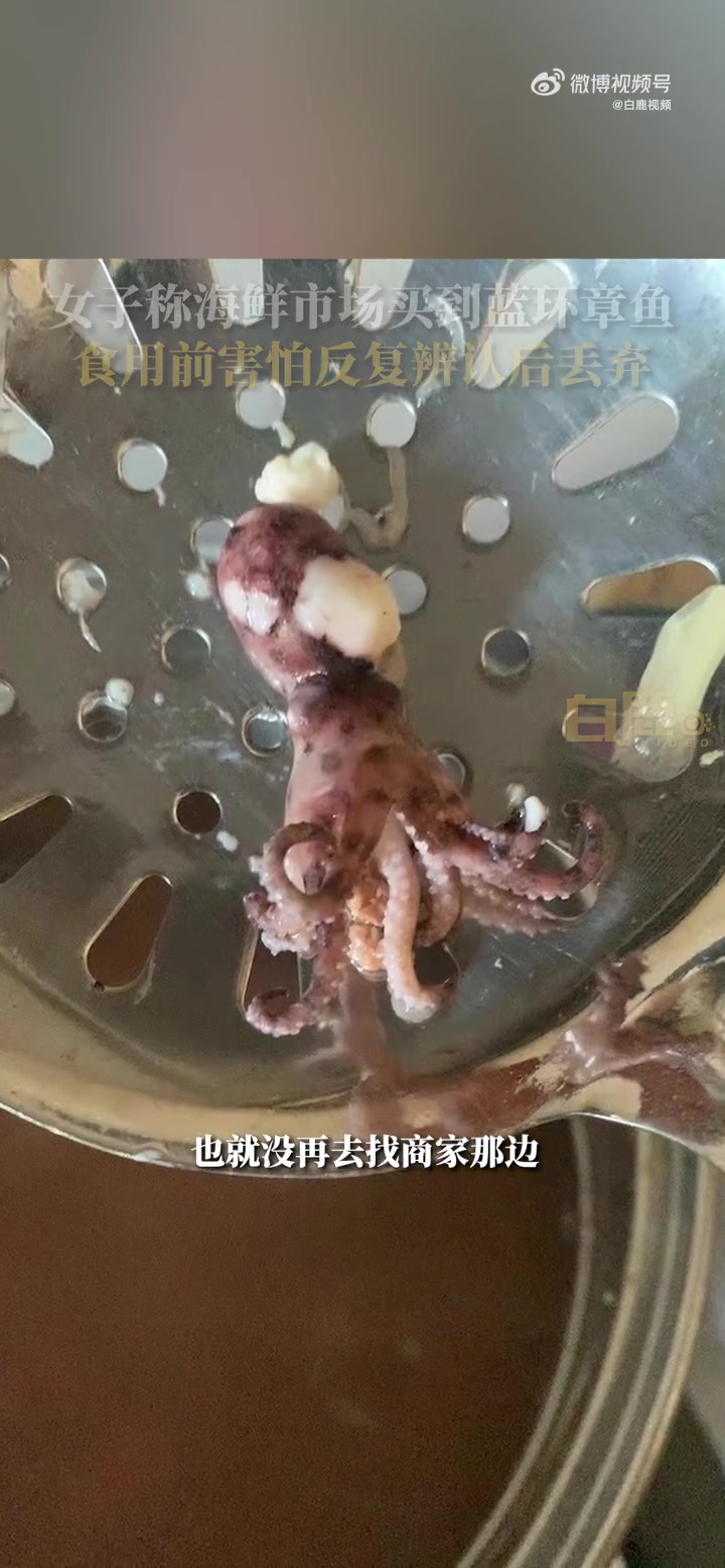 「女子称海鲜市场买到蓝环章鱼险食用,反复辨认后丢弃「衰」」2月4日,海南三亚。女子称在海鲜