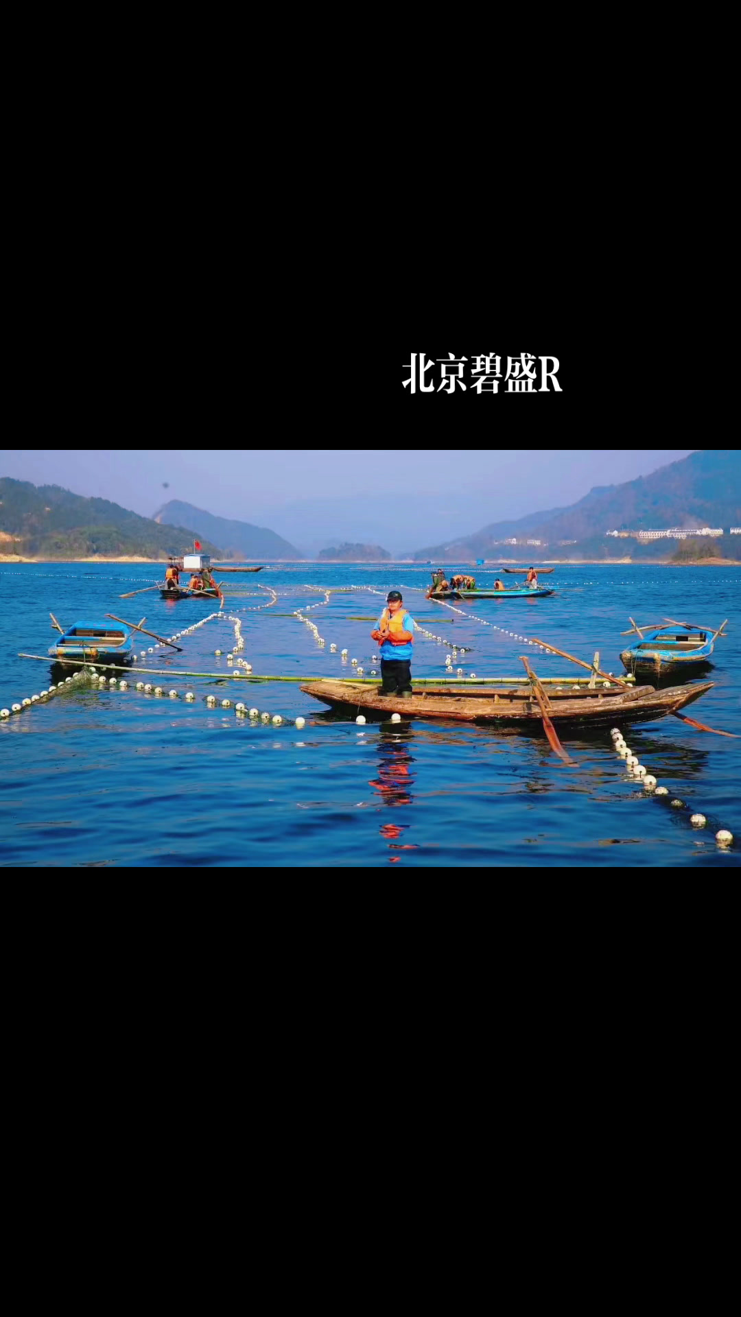 千岛湖有机鱼,胖头鱼