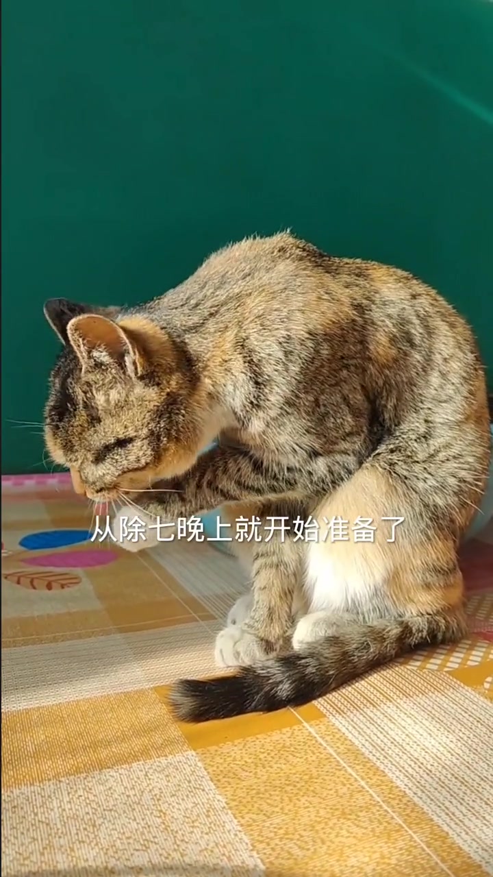 妈妈的腊八粥暖身又暖心 记录我的农村生活 过了腊八就是年 我爱妈妈所有的样子