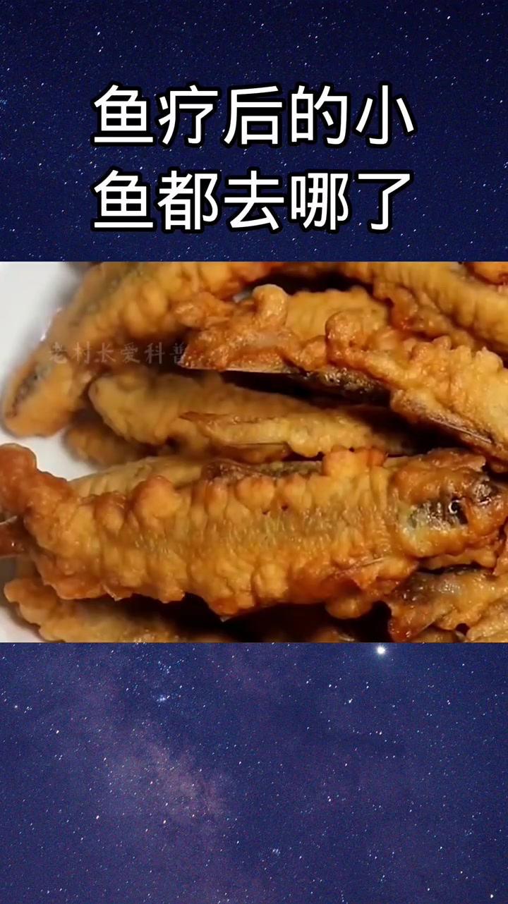 手里的小鱼干总感觉怪怪的