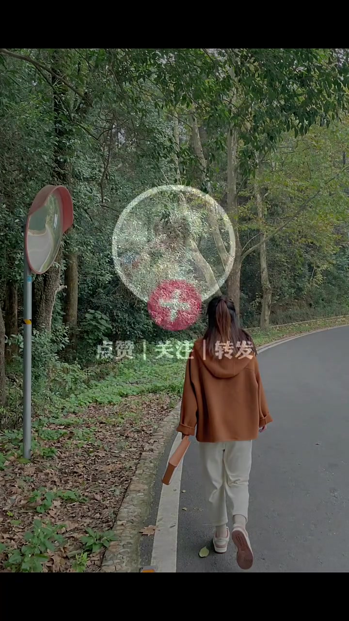 海岸书签
