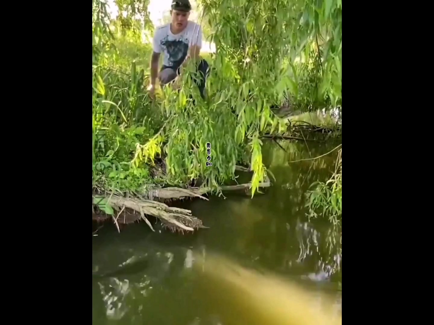 钓鱼趣事系列(三)