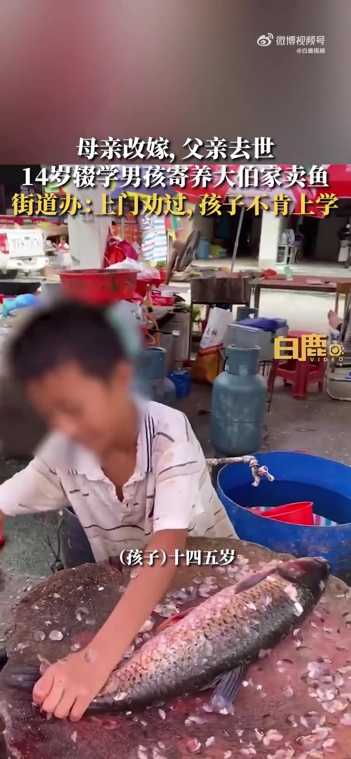 「母亲改嫁,父亲去世 14岁男孩寄养大伯家辍学杀鱼 街道办:上门劝过,孩子不肯上学」近日,