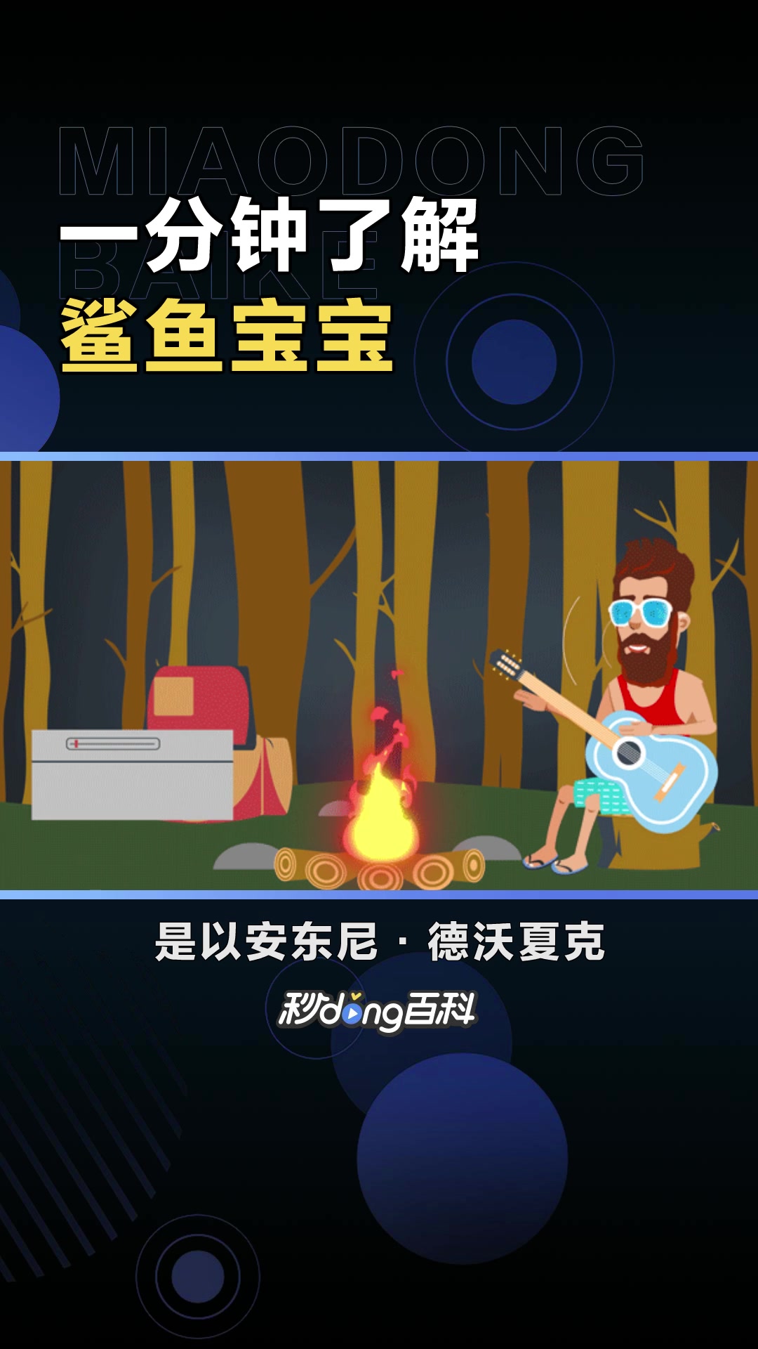 鲨鱼宝宝:超人气卡通形象