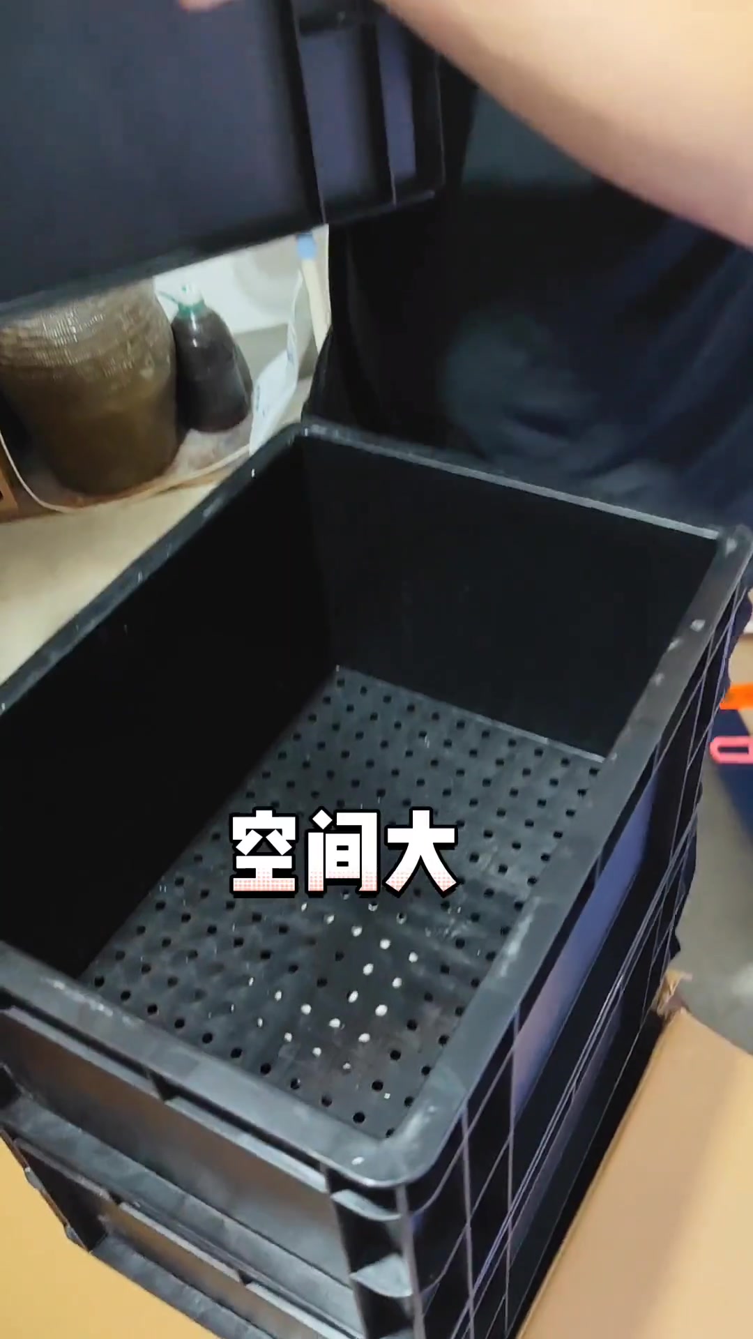 兰寿鱼缸最佳尺寸