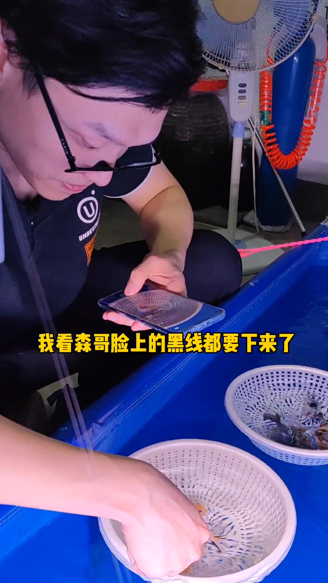 兰寿金鱼 好鱼都是万里挑一 什么样的都有 观赏鱼 热门视频