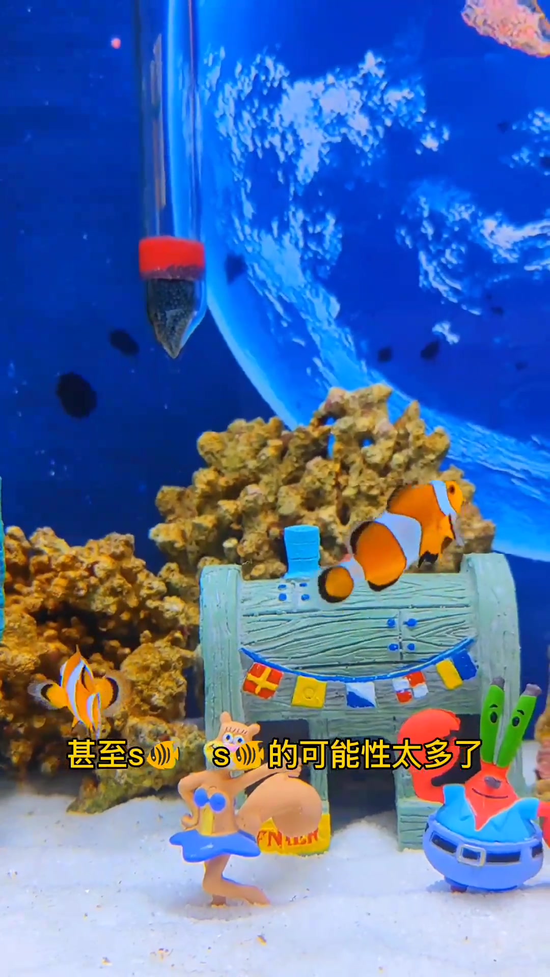 鱼缸老是死鱼怎么办?养鱼日记 观赏鱼 热门视频