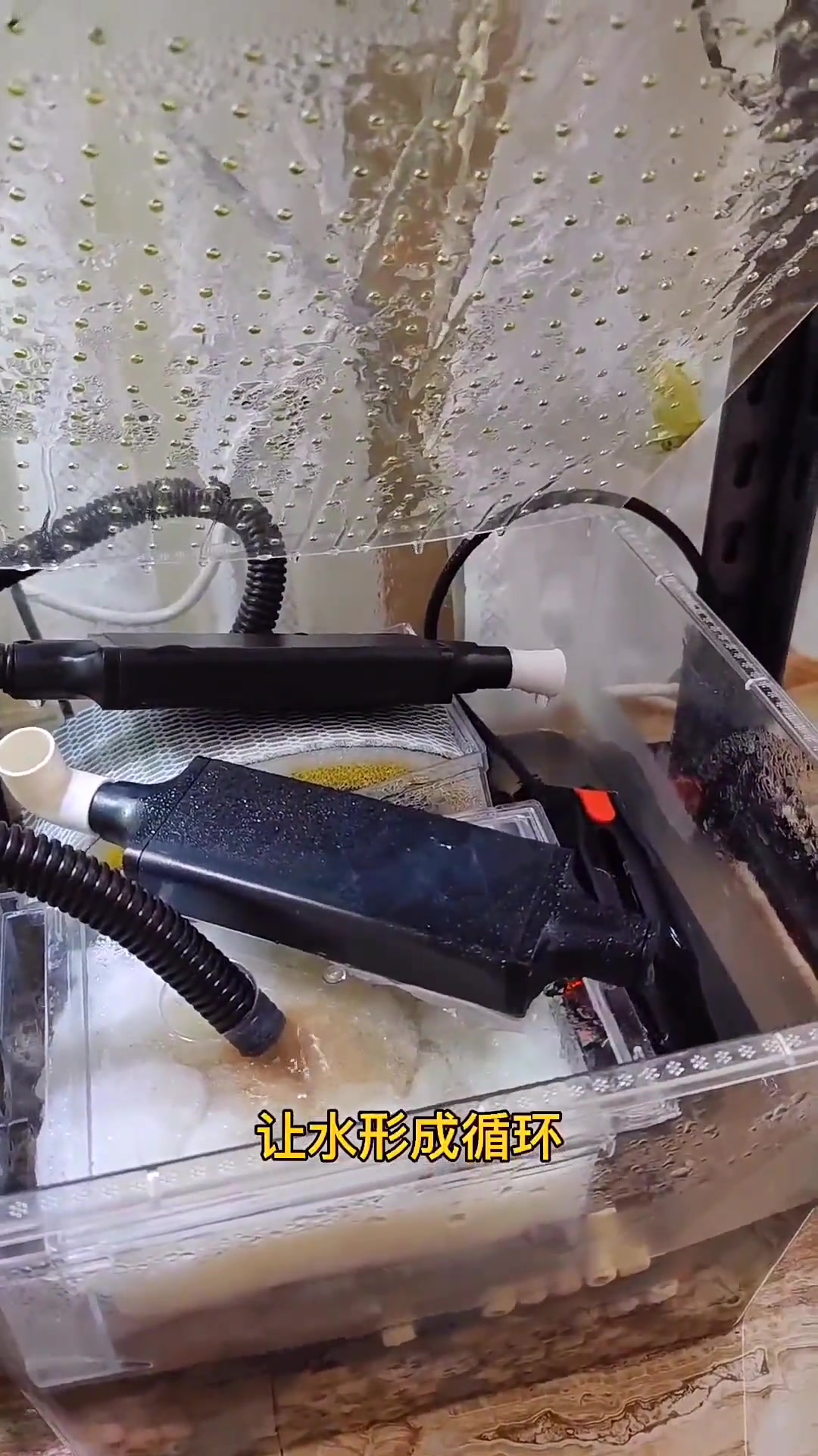 观赏鱼鱼缸自制教程