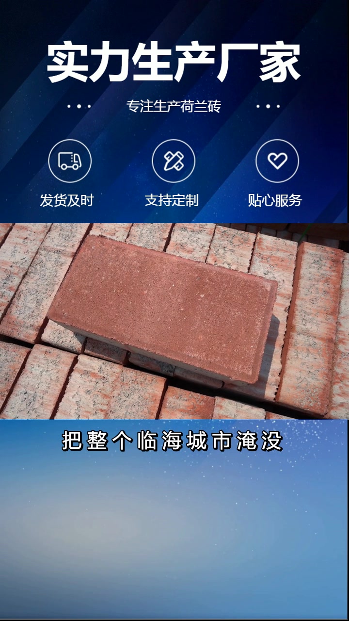 荷兰砖价格 荷兰砖报价 荷兰砖 山东荷兰砖 山东荷兰砖生产厂家